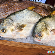 เก๋า ข้าวต้มปลา บางนา