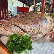 เก๋า ข้าวต้มปลา บางนา