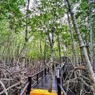 วนอุทยานปราณบุรี
