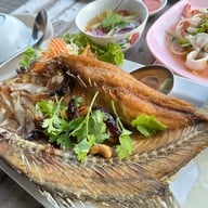 แมวน้ำ พระสมุทรเจดีย์