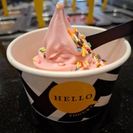 Hello Yogurt สยามพารากอน