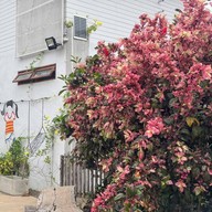 สังคมวิลเลจ หนองคาย