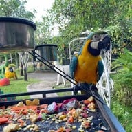 ณ Khonyok Sheep Farm & Cafe