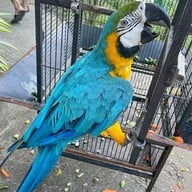 ณ Khonyok Sheep Farm & Cafe