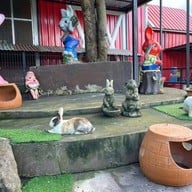 ณ Khonyok Sheep Farm & Cafe