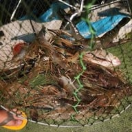 เมนูของร้าน ร้านใกล้เกร็ด
