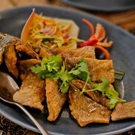 เมนูของร้าน Takola