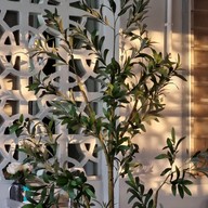 บรรยากาศ ตุลา Slow bar coffee