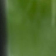 I see coffee & matcha