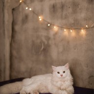 Old school Mala-BBQ ตรงข้ามตลาดหน้าค่าย