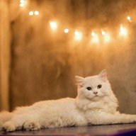 Old school Mala-BBQ ตรงข้ามตลาดหน้าค่าย