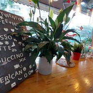 ไนน์ทเวนตี้คอฟฟี่ กาแฟสด ขนมโตเกียว รามคำแหง 24