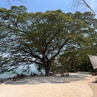 Bambu beach club
