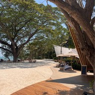 Bambu beach club