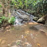 วัดคันธาพฤกษา (วัดแม่กำปอง)