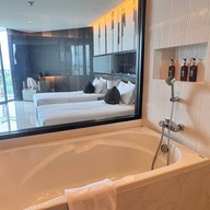 ทีซิกซ์ไฟว์ ฟีนอมินัล