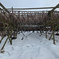 Fiskehjell L Henningsvær