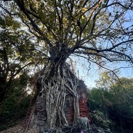 วัดแร้ง คลองสระบัว