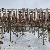 Fiskehjell L Henningsvær