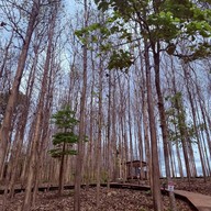 TATA Chiang Dao