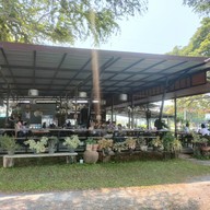 ก๋วยเตี๋ยวเรือไดโนเสาร์ -