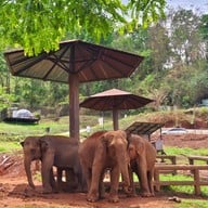 ELEFIN  FARM & CAFE