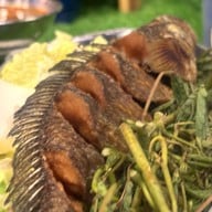 เจริญนคร Music cafe & Restaurant