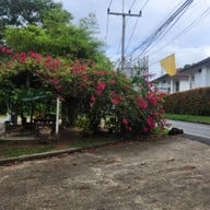 บรรยากาศ คลองสังเน่ห์