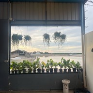 บ้านปูเป็น2 เพชรบุรี สาขาแหลมผักเบี้ย