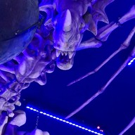 บรรยากาศ Mad Hog Tavern