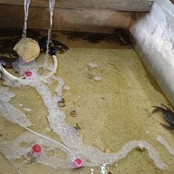 ร้าน แฮฟปี้เนส (ทะเลถัง)