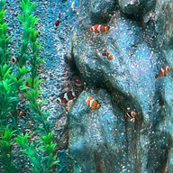 บรรยากาศ Underwater World