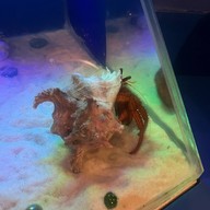 บรรยากาศ Underwater World