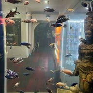 บรรยากาศ Underwater World