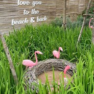 Top Seacret Beach Cafe