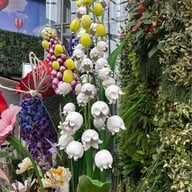Siam Paragon