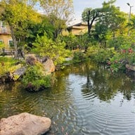 กรีน ฟอเรสท์ รีสอร์ท ( Green Forest Resort)