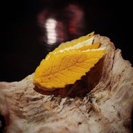 Gaggan Anand Restaurant
