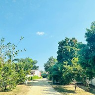 หอมมาลัย คาเฟ่