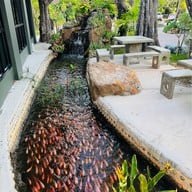 กรีน ฟอเรสท์ รีสอร์ท ( Green Forest Resort)