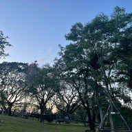 สวนเบญจกิติ