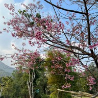 Mae Klang Luang Hill