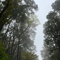 เส้นทางศึกษาธรรมชาติกิ่วแม่ปาน