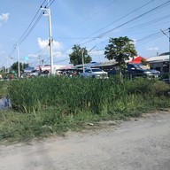 ตลาดนัดผึ้งรวง