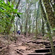 เส้นทางศึกษาธรรมชาติกิ่วแม่ปาน