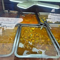 เพชรเจริญยิ่ง