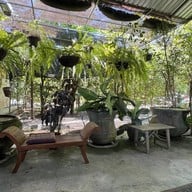 บรรยากาศ ก๋วยเตี๋ยวเฮือนไม้