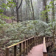 เส้นทางศึกษาธรรมชาติกิ่วแม่ปาน