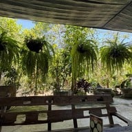 บรรยากาศ ก๋วยเตี๋ยวเฮือนไม้