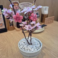 เมนูของร้าน Kogoro Katsu Mega Bangna